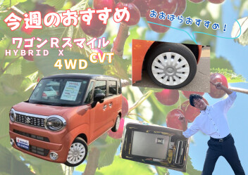 今週のおすすめ！